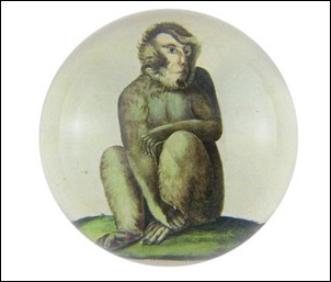 John Derian Paperweight