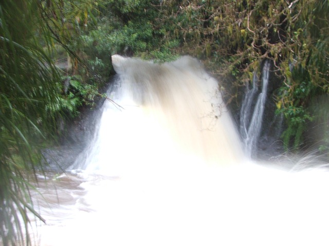 [DSCF558310.jpg]