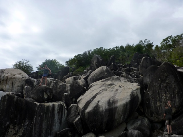 [P10106553.jpg]