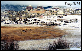 L'empire dans les nuages, Yunnan (Chine) 50a%20Zhongdian