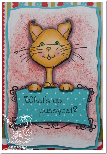 Whats-Up-Pussycat-1a