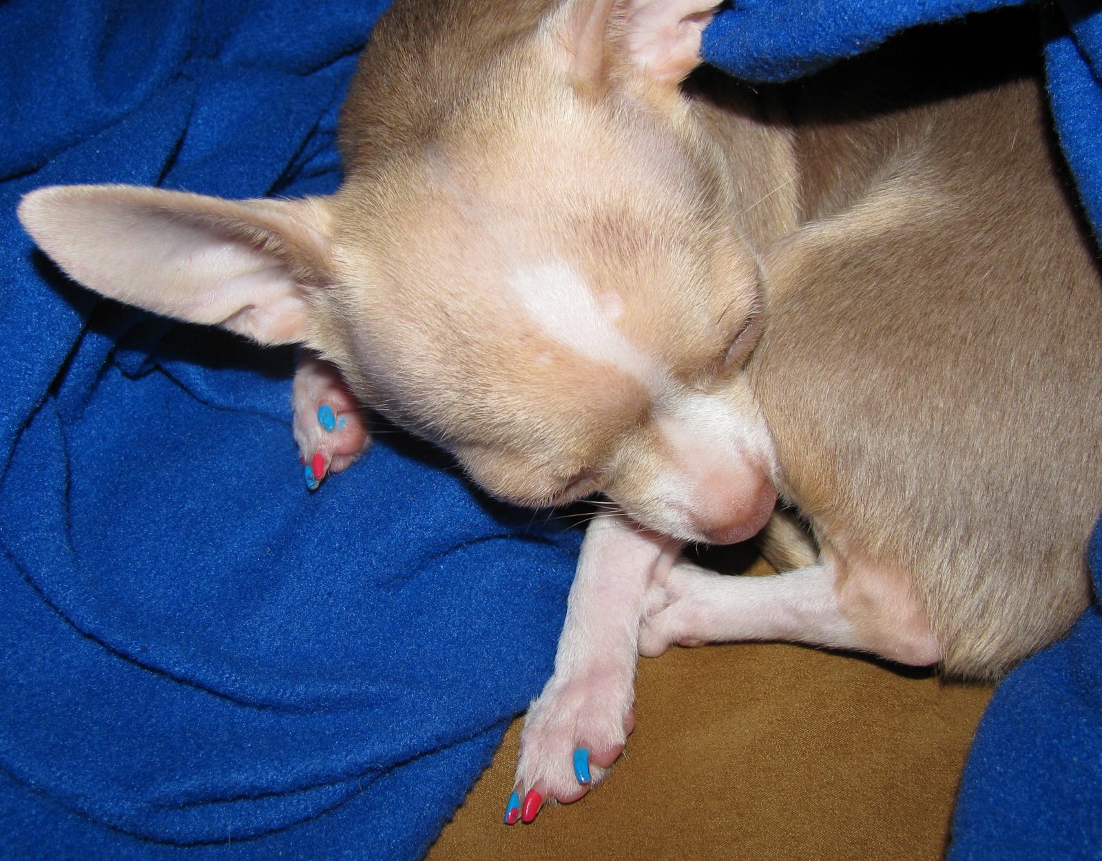 [05142009+015.jpg]