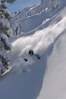 Tyson Bolduc
