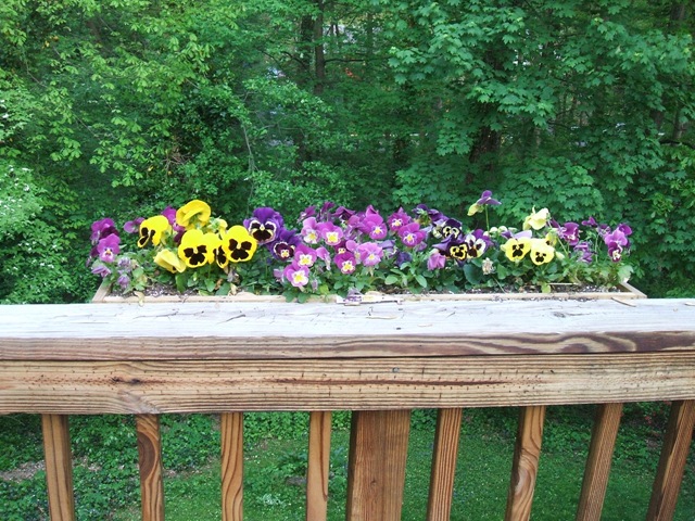 [DSCF42474.jpg]