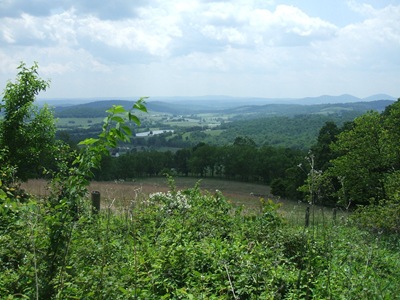 DSCF1198 DSCF1198