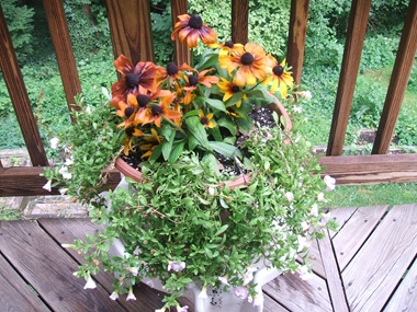 DSCF5492 DSCF5492