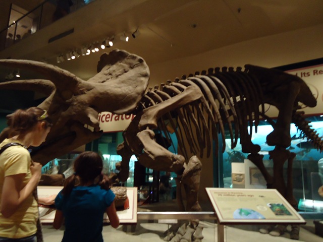 [DSC00029[1].jpg]