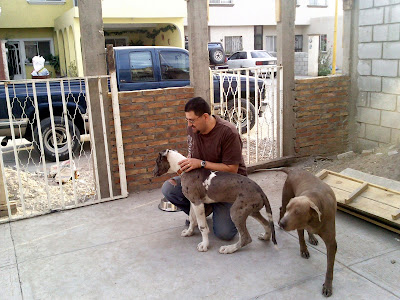 Oso fue nuestro invitado durante las fiestas de Navidad y Año Nuevo.