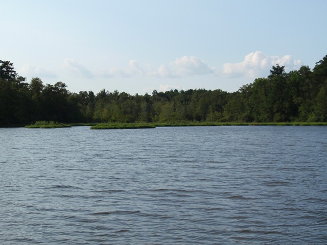 [P8151185[8].jpg]