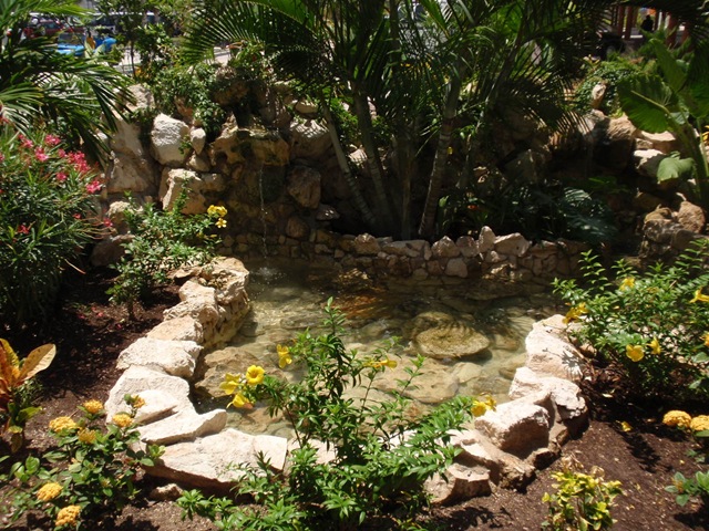 [P8250055[4].jpg]