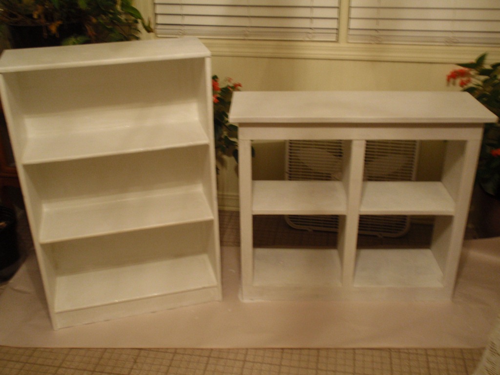 [primed shelves[6].jpg]