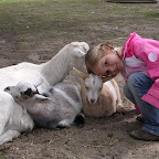 DSCN6770.JPG