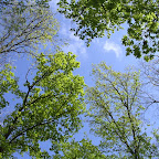 DSCN6836.JPG