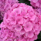 DSCN6847.JPG