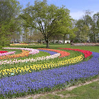 DSCN6797.JPG