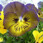 DSCN6807.JPG