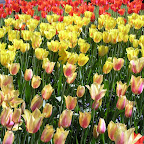 DSCN6861.JPG