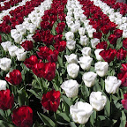 DSCN6862.JPG
