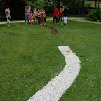 DSC_2597.JPG