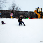 DSC_3456.JPG