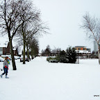 DSC_3455.JPG