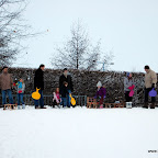 DSC_3463.JPG