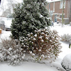 DSC_3440.JPG