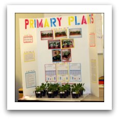 Science Fair 2011
