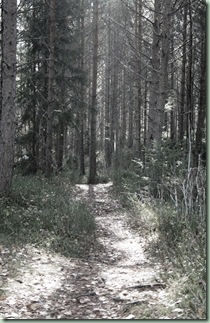 Lillomarka 049