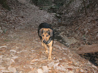 Winter Hike; Cantwell Cliffs State Park, near Logan, OH