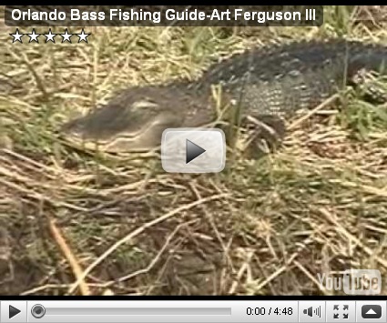 Fish? Watch Online Good Free ...