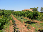 P6250065.JPG