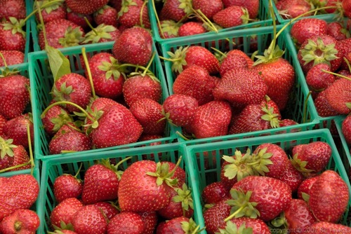 [organic-strawberries-basket-fruit-1000[3].jpg]