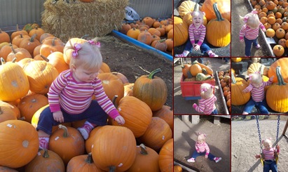 View Pumpkin Patch