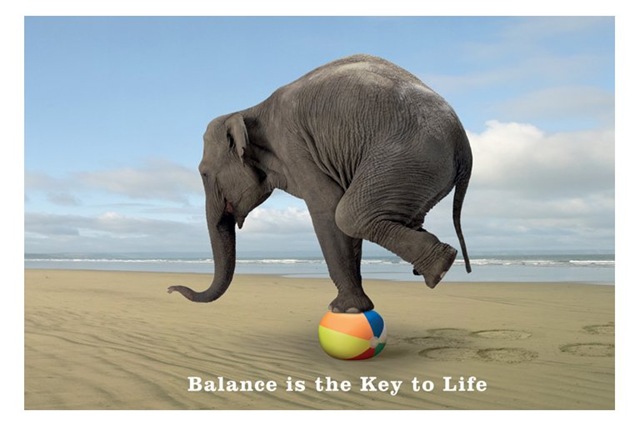[elephant-balance[4].jpg]