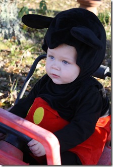 halloween, 2010 021