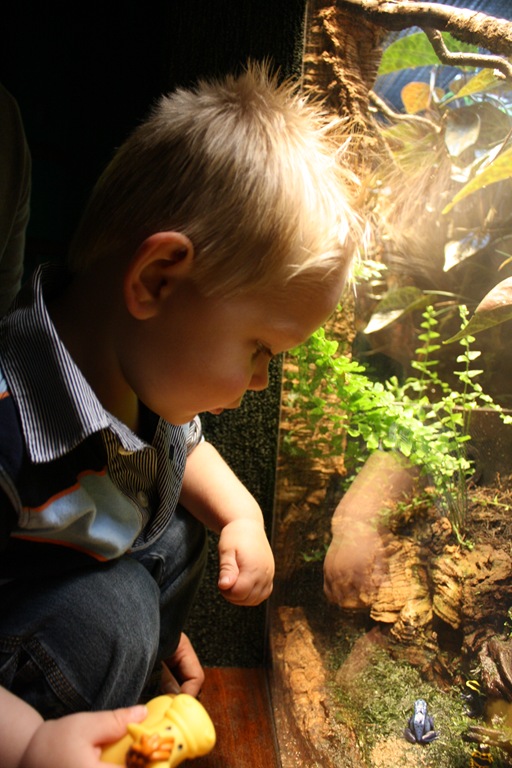 [Bryson-2nd-Birthday-1095.jpg]