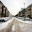  Harter Winter im Wittekamp