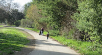 Los Gatos Trail 088.JPG