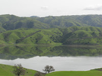 cal res 003.JPG Photo