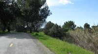 Los Gatos Creek Logged 006.JPG Photo