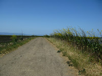 Home to Alviso Loop Logged 086.JPG