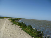 Home to Alviso Loop Logged 116.JPG Photo