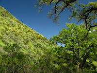 Sunol Regional Wilderness Hike 037.JPG Photo