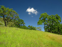 Sunol Regional Wilderness Hike 038.JPG Photo