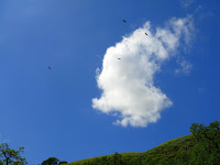 Sunol Regional Wilderness Hike 048.JPG Photo