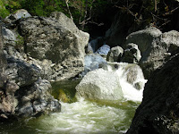 Sunol Regional Wilderness Hike 071.JPG Photo