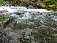 Sunol Regional Wilderness Hike 091.JPG Photo