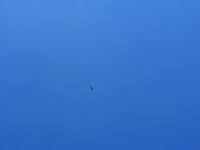 Sunol Regional Wilderness Hike 115.JPG Photo
