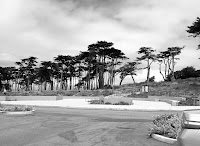 San Fran Lands End Walk 011.JPG Photo